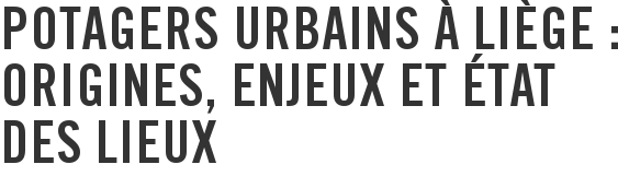 Potagers urbains à Liège : origines, enjeux et état des lieux